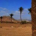 The Fascinating Boa Vista