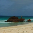 The Fascinating Boa Vista