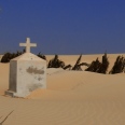The Fascinating Boa Vista