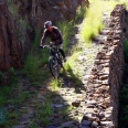 The Adrenaline (MTB) 