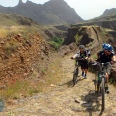 The Adrenaline (MTB) 